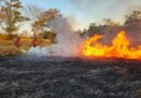 Pantanal de MS tem quatro focos de incêndios ativos e trabalho de combate no bioma completa 198 dias