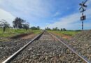 ANTT aprova proposta de construção de ramal ferroviário para escoar celulose pela Malha Norte