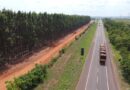Rota da Celulose vai qualificar rodovias e impulsionar economia