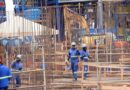 MS fecha primeiro trimestre de 2025 com criação de 12,5 mil empregos formais