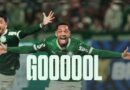 Palmeiras vence o São Paulo com gol nos acréscimos e segue líder do Brasileirão