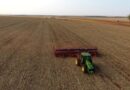 Projeção para 2025 coloca MS no topo do crescimento do PIB agropecuário