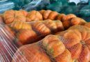 Na Ceasa de Mato Grosso do Sul, inverno aumenta procura por legumes que enriquecem caldos e sopas