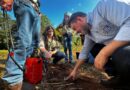 Tecnologia: sementes de inovação plantadas há um ano no Pantanal começam a dar frutos