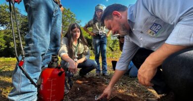 Tecnologia: sementes de inovação plantadas há um ano no Pantanal começam a dar frutos Tecnologia: sementes de inovação plantadas há um ano no Pantanal começam a dar frutos