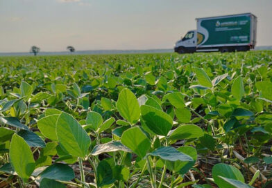 Dourados sedia 12º Encontro Nacional da Soja em agosto