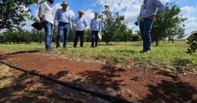 MS Irriga destaca potencial para irrigar 4 milhões de hectares MS Irriga destaca potencial para irrigar 4 milhões de hectares