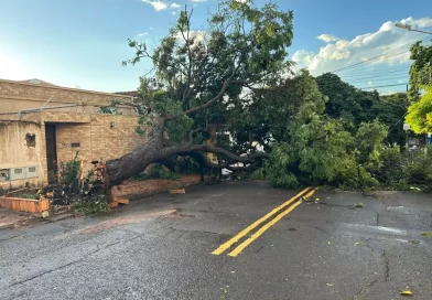 Temporal causa estragos na capital